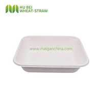 Boîte rectangulaire en bagasse 900 ml 30 oz, contenant alimentaire jetable biodégradable, résistant à l'huile et à l'eau, pour salades et frites