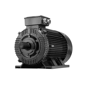 IE3 Cast Iron 75kW 110kw 130kw 3 Phase Industrial Permanent Magnet Motor 380V 4 Pole 180L For Boat