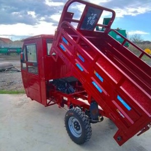 Hot <b>Sale</b> Three Wheel <b>Motorcycle</b> Scooter <b>Trike</b> Petrol Type <b>Motorcycle</b> With Driver Cabin Cargo Tricycle <b>Motorcycle</b> - Product Image 3