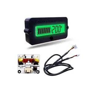 TY02 50A 100A Power indicator Voltmeter Battery capacity meter Lithium battery iron phosphate lead acid battery power detector