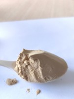 Un supplément nutritif fiable et efficace maximise le potentiel de production animale-Stérol de levure
