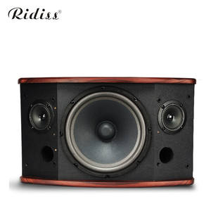 Haut-parleur professionnel TDK-510 simple 10 pouces pour salle privée KTV, karaoké domestique, multifonctionnel pour salle de réunion, danse, audio 200W - Product Image 4