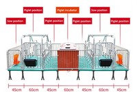 Nouvel équipement de ferme animale Production porcine lit d'élevage caisses de mise bas stylo de gestation pour la production porcine élevage