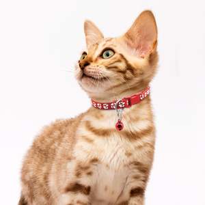 Collar reflectante de moda de 1.0 cm con estampado de huellas de gato y cascabel, con cierre de seguridad. - Product Image 5