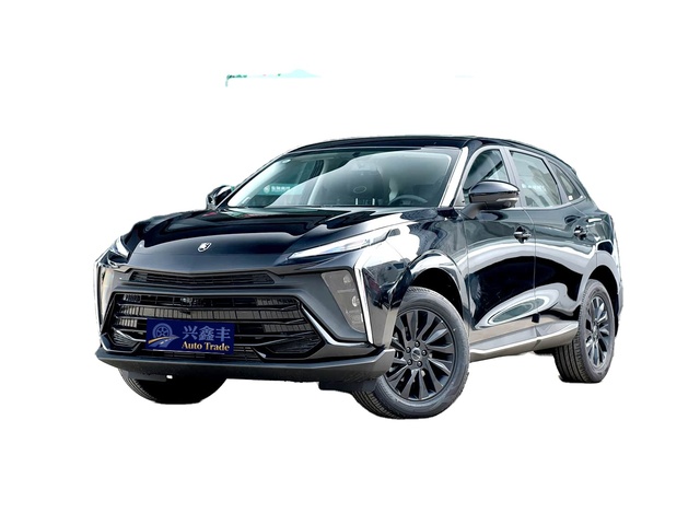 2024 Dongfeng for T5 EVO 1.5TD Turbo DCT Leather Dark R19 Used SUV