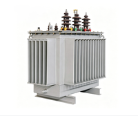 Transformateur de distribution d'énergie général 3 phases 110 kV 315 kVA SH15, bobinage en aluminium ONAF Dyn11, équipe technique d'économie d'énergie