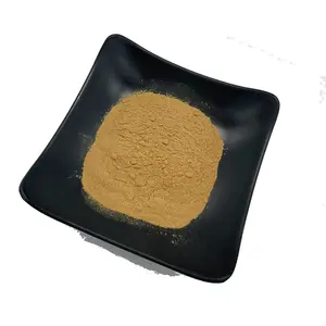 Supplément d'extrait <span class=keywords><strong>de</strong></span> <span class=keywords><strong>levure</strong></span> <span class=keywords><strong>de</strong></span> <span class=keywords><strong>bière</strong></span> <span class=keywords><strong>Poudre</strong></span> <span class=keywords><strong>de</strong></span> <span class=keywords><strong>levure</strong></span> <span class=keywords><strong>de</strong></span> <span class=keywords><strong>bière</strong></span> sèche <span class=keywords><strong>de</strong></span> qualité alimentaire - Product Image 1