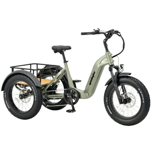 GEOBYKE <strong>UK</strong> Warehouse Delivery Cargo Ebike Fat Tire Electric Tricycle 48V 250W 3 Wheel Fat Tire E <strong>Trike</strong> <strong>for</strong> <strong>Sale</strong> - Product Image 2