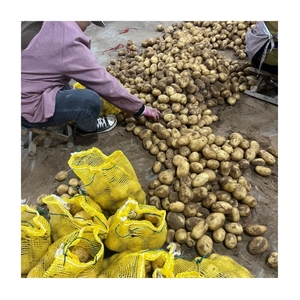 Encontrar Patatas Frescas Cultivadas en Granja Similares a las Icon Farm, Venta al por Mayor para Supermercados, Tiendas de Comestibles y Mercados Mayoristas - Product Image 2