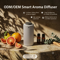 Diffuseur d'arômes électrique intelligent sans eau en métal ODM/OEM, nébuliseur d'huiles essentielles, diffuseur de parfum, emballage personnalisé avec logo pour la maison et la voiture