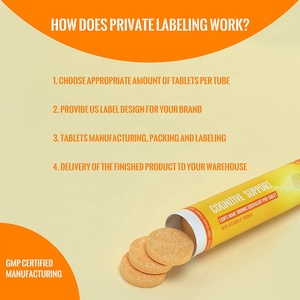 ויטמין c הראשון בעולם של ויטמין C רעמת האריה של פטריות תמיכה קוגניטיבית חיסונית לוח פרטי תווית מבוגרים נשים בהריון - Product Image 4