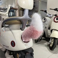 2026 Velcro Queue de peluche électrique détachable à commande vocale pour décoration arrière de voiture, design animal d'anime japonais