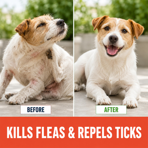 Champú Antipulgas y Garrapatas para Mascotas <span class=keywords><strong>de</strong></span> Marca Privada, Limpiador para Baño y Limpieza, Champú Natural y Orgánico Antipulgas y Garrapatas para Perros y Gatos - Product Image 2