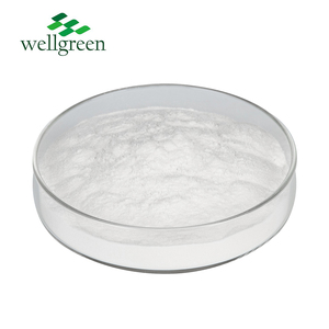 Leche de Coco en Polvo de Alta Calidad, 30% de Grasa, Muestra Gratis, Mejor Precio para Suplemento de Proteína Vegano - Product Image 2