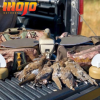 MOJO Outdoors Plastic ES Voodoo Dove, le nouveau leurre de chasse réaliste et durable à piles, facile à utiliser pour la chasse aux colombes