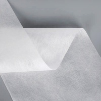 Tissu non tissé en fibres de maïs PLA 100% biodégradable et écologique, tissage uni de haute qualité 30-100 g/m² pour sachets de thé et de café