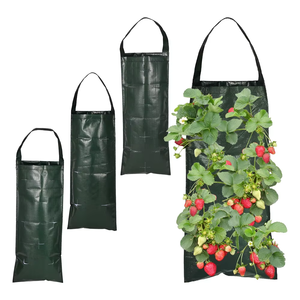 Bolsas Colgantes de PE para Cultivo de Fresas/Bolsas Verticales para Cultivo de Plantas/Macetas para Flores con Nutrientes - Product Image 3