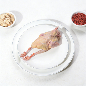 Pigeon entier enrichi en sélénium naturel, viande de volaille très nutritive pour la maison et la restauration - Product Image 4