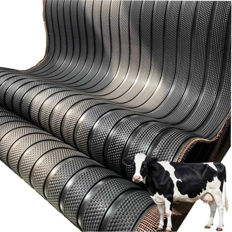 Cattle Friendly Anti Fatigue Anti Slip