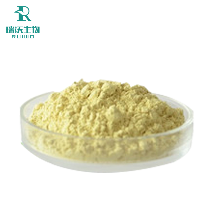 TOP 1 Manufacturer High Quality Wild