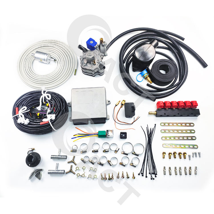 ACT lpg 6 Cylinder Gas Vehicular Lpg Gas Auto Conversion Kits for Auto ...