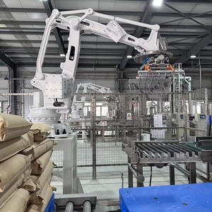 テロンPLCベースロボットパレタイザーパレタイジングシステムマシン自動パレタイザー（化学薬品、肥料用）空気圧駆動 - Product Image 2