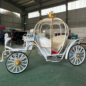 Horse Carriages Vintage Sightseeing Tourist Horse Drawn European Horse Carts Wagon Carriage for Sightseeing - Product Image 2