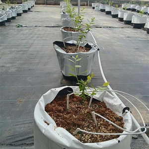 Kit d'irrigation automatique pour serre agricole et jardin - <span class=keywords><strong>Goutteur</strong></span> Spider Farmer Drip Arrow - Product Image 4
