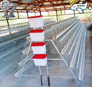 <span class=keywords><strong>Cage</strong></span> à poules de type A galvanisée à chaud pour l'élevage avicole - Product Image 5
