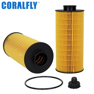 Filtro de Aceite para Motor Diésel de Camión 23759508 23756616-24008818 23824444-24137737 24137493 Filtro Aceite para Volvo - Product Image 5