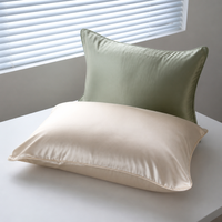 Taie d'oreiller 100% Soie de Mûrier 22 Momme Grade 6A Lavable en Machine Anti-Plis Anti-Âge Sommeil Beauté Logo Personnalisé OEM Vente en Gros