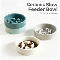 Bol en céramique pour l'alimentation lente, bol anti-glouton pour animaux de compagnie, bol antidérapant pour manger lentement pour chats et petits chiens, prévient l'étouffement, alimentation saine