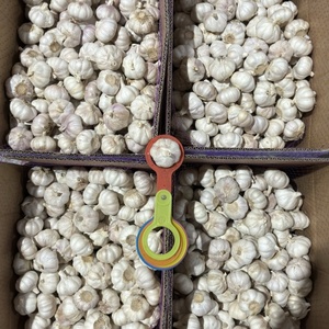 Vente en gros d'<span class=keywords><strong>ail</strong></span> frais de Chine, nouvelle récolte, exportation au Burkina Faso, 5,0 cm - Product Image 1