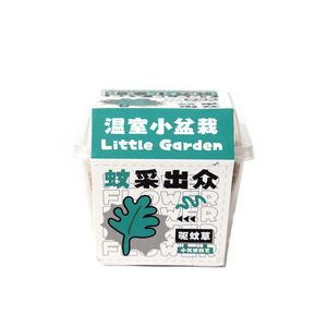 Coffret cadeau de plantation créative, mini serre, plantes en pot, herbe anti-moustiques pour enfants, étudiants, maternelle - Product Image 4
