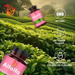 Complément minéral de haute qualité : Capsules d'alfalfa pour adultes – Améliore le système immunitaire et soutient la santé digestive – 90 gélules - Product Image 6