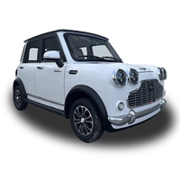 Véhicule électrique vintage à quatre roues, 2000W, quatre portes, 5 places, usage domestique, faible vitesse, vitesse maximale 60 km/h, autonomie inférieure à 100 km