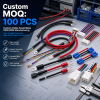 Pemasok Perakitan Kabel Profesional BeiXing Berkualitas Tinggi OEM ODM Kabel Kustom Harness Kabel Kustom