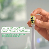 Brosse à dents sonique portable de première génération avec pompe à eau de rinçage, blanchiment dentaire électrique haute fréquence, autonomie de 30 jours, usage domestique