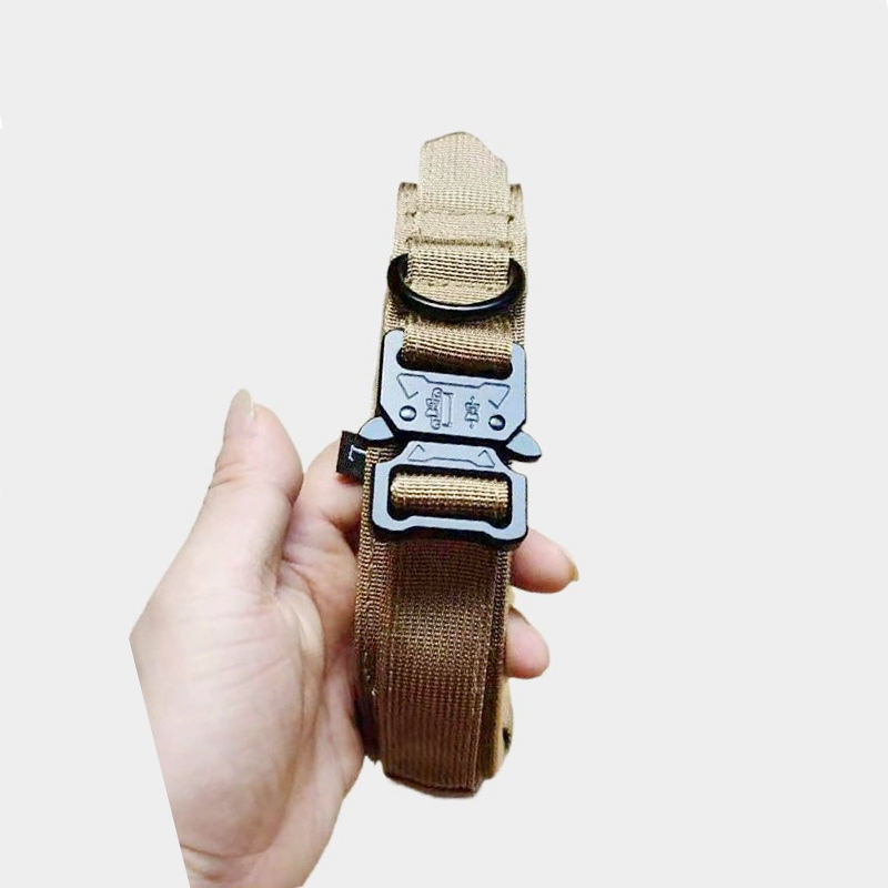 Brown collar with black buckle