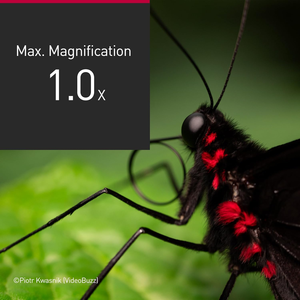 Pa nasonic S 100mm เลนส์ F2.8 (Leica L) (S-E100) เซ็นเซอร์ CMOS กล้องมิเรอร์เลส - Product Image 4