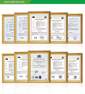 Prix d'usine Nouvelle conception 1080P FHD 1/1.8'' CMOS Caméra portable pour instruments chirurgicaux ORL/Canin Utilisation sûre et fiable - Product Image 5