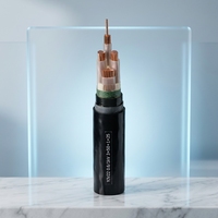 Cable de Alimentación de Cobre Armado con Alambre de Acero YJV XLPE PVC 0.6/1kV para Suministro Eléctrico en Plantas de Procesamiento de Petróleo, Gas y Petroquímicos