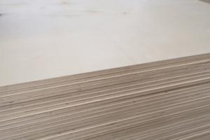 Contrachapado para Construcción, Superficie Plana Doble Lijada, Contrachapado de Alta Resistencia para Plataformas y Edificios - Product Image 4