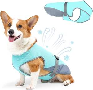 Gilet d'été personnalisé en polyester pour animaux de compagnie – Adorable chemise sans manches pour chien avec fonction rafraîchissante, lavable, prévention des coups de chaleur <span class=keywords><strong>HW</strong></span> - Product Image 2