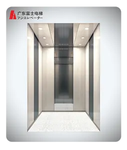Nhà Mini thang máy dân cư thang máy thang máy nhỏ cho thang máy hành khách nhà