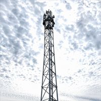 Tour de télécommunication cellulaire triangulaire en acier tubulaire galvanisé à chaud de 30 m pour réseau de station de base de signalisation sans fil