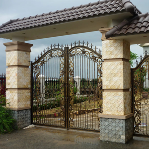 Puerta de Hierro de Alta Calidad con Asistencia Técnica en Línea y Diseño Francés, Puerta de Hierro Forjado - Product Image 1