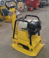 Moteur Loncin à poussée manuelle Compacteur à plaques vibrantes à essence/diesel Compacteur à plaques réversible à vendre