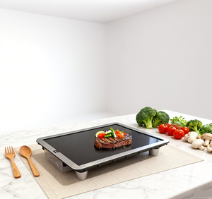 Gril électrique portatif extérieur de BBQ de chauffage efficace rapide 300w gril électrique d'infrarouge lointain pour le BBQ, le pain grillé, le gril, d'intérieur - Product Image 3