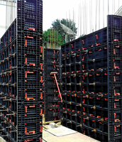 Panneaux de coffrage en plastique ABS PP pour colonnes en béton, moules réutilisables pour murs et colonnes, panneaux modulaires en plastique pour la construction de villas